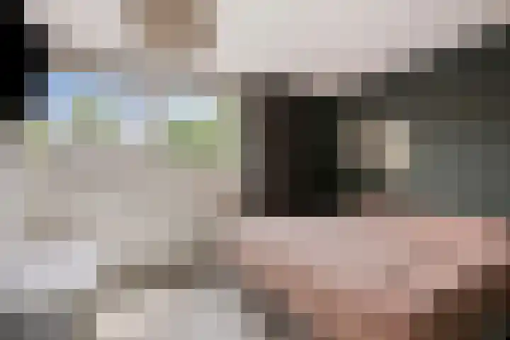 Den Ong 5 Ravenstein thumbnail 23