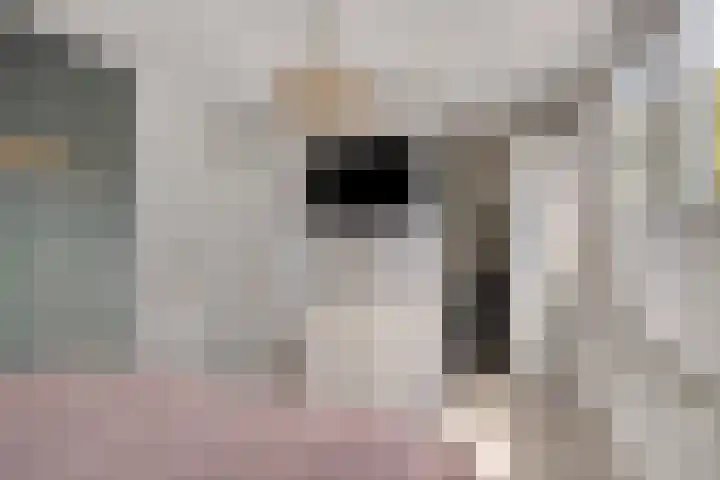 Den Ong 5 Ravenstein thumbnail 24
