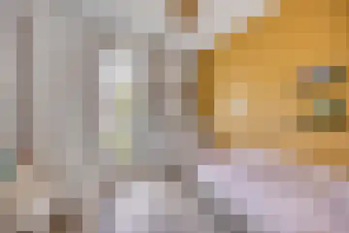 Den Ong 5 Ravenstein thumbnail 25