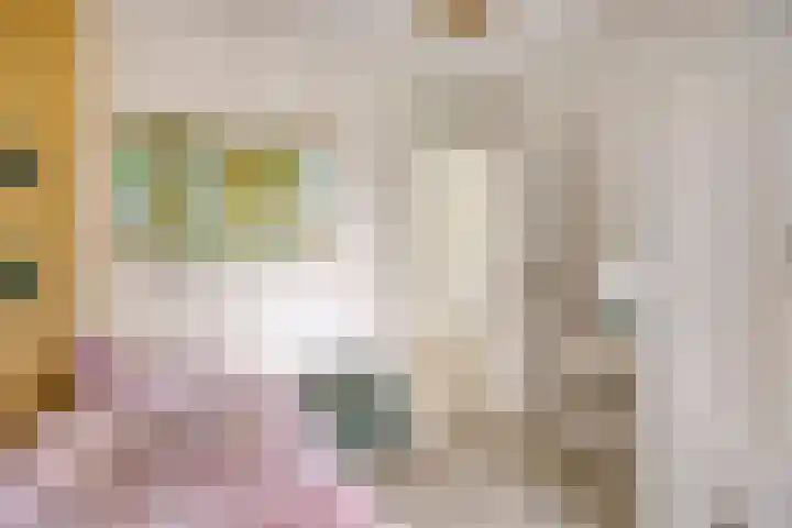 Den Ong 5 Ravenstein thumbnail 26