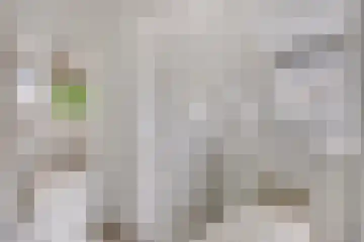Den Ong 5 Ravenstein thumbnail 31