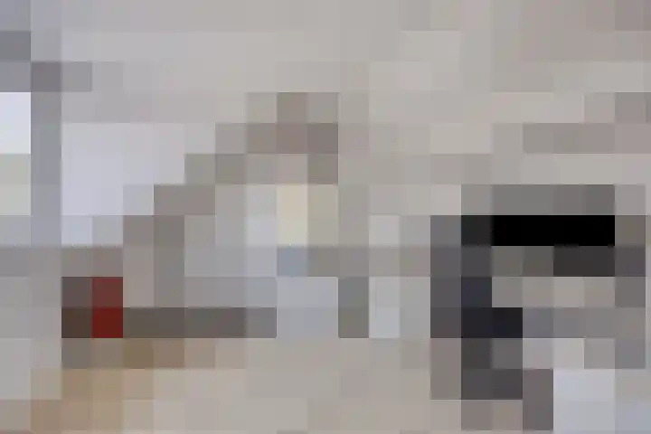 Den Ong 5 Ravenstein thumbnail 34