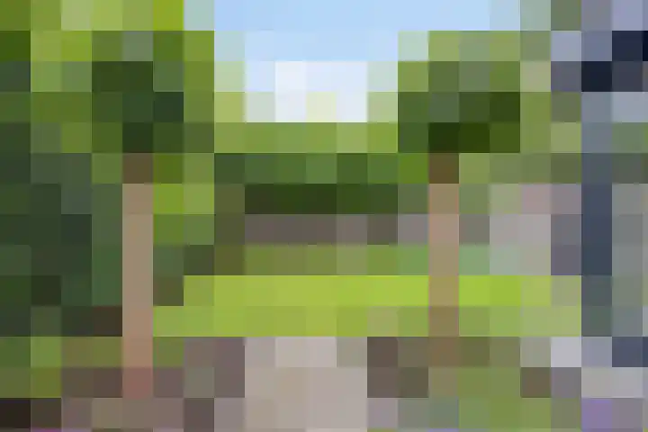 Den Ong 5 Ravenstein thumbnail 38