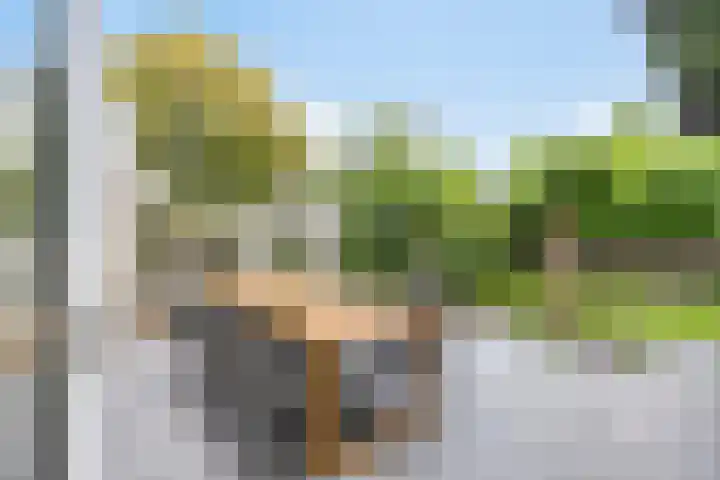 Den Ong 5 Ravenstein thumbnail 39