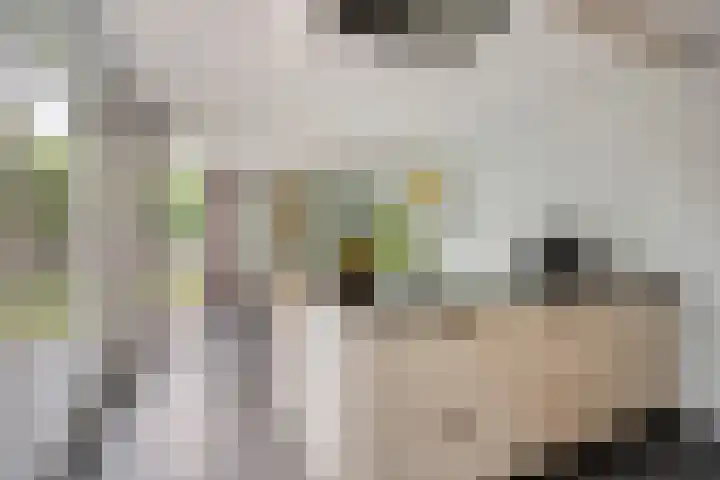 Den Ong 5 Ravenstein thumbnail 4