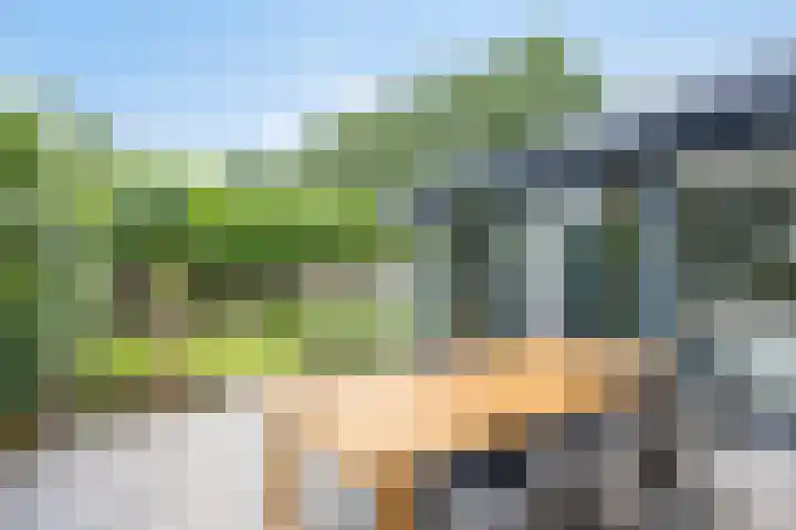 Den Ong 5 Ravenstein thumbnail 41