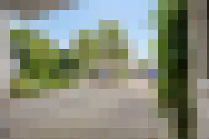 Den Ong 5 Ravenstein thumbnail 45