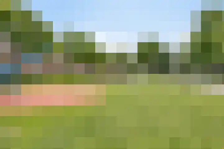 Den Ong 5 Ravenstein thumbnail 46