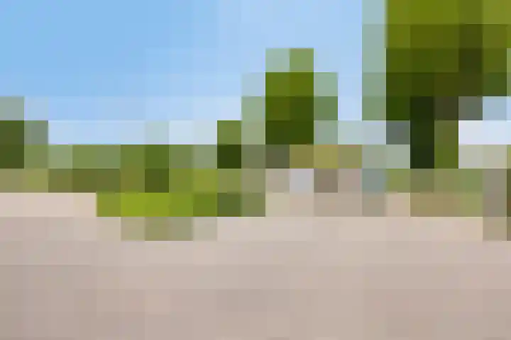 Den Ong 5 Ravenstein thumbnail 47