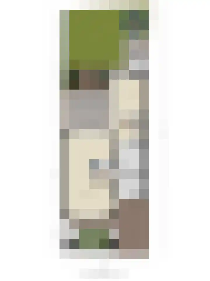 Den Ong 5 Ravenstein thumbnail 48
