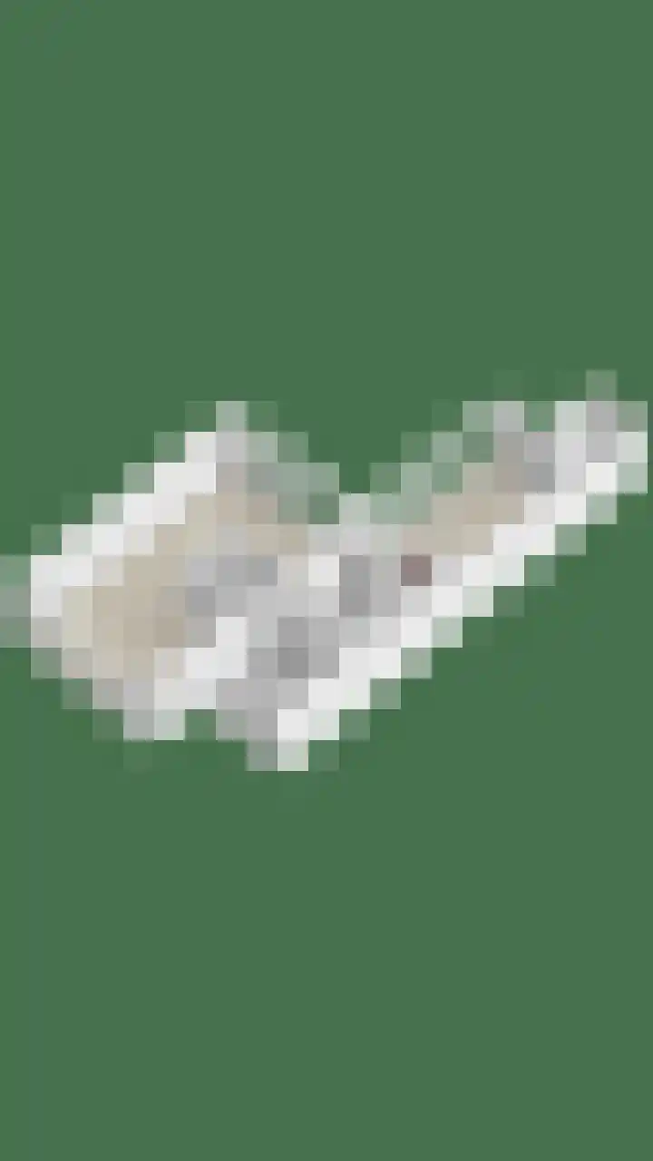 Den Ong 5 Ravenstein thumbnail 51