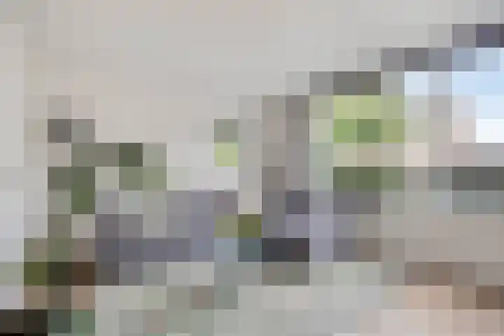 Den Ong 5 Ravenstein thumbnail 7