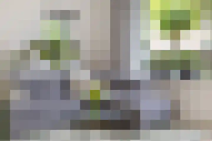 Den Ong 5 Ravenstein thumbnail 9