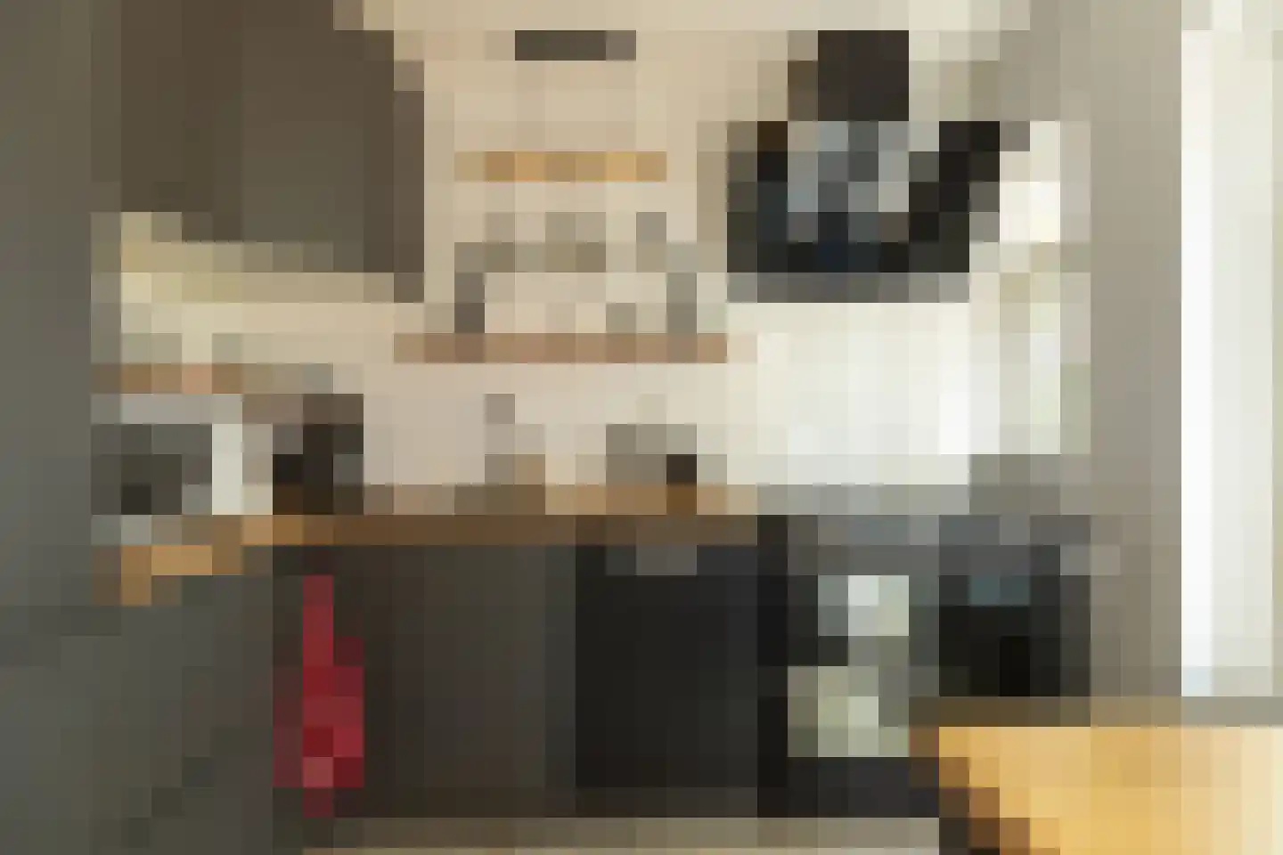 Den Ool 24 Hilversum thumbnail 13