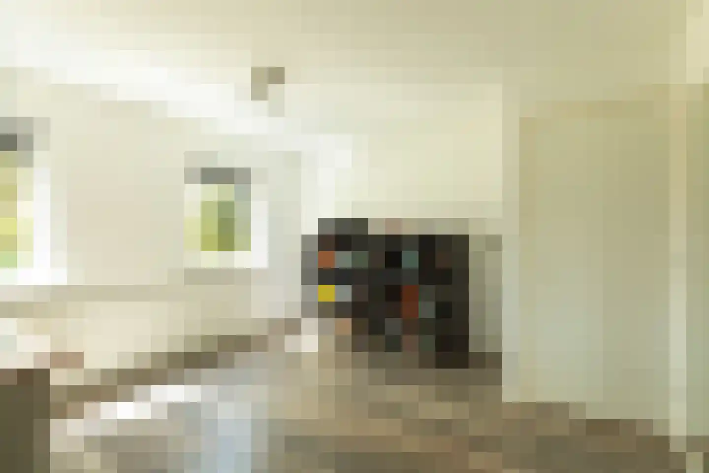 Den Ool 24 Hilversum thumbnail 19