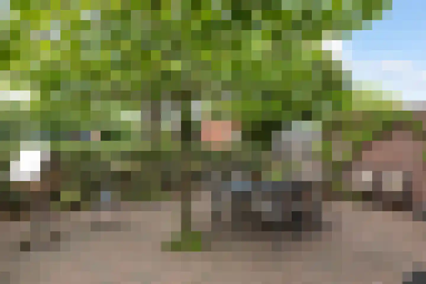 Den Ool 24 Hilversum thumbnail 25