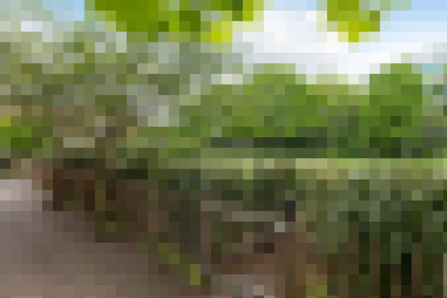 Den Ool 24 Hilversum thumbnail 28