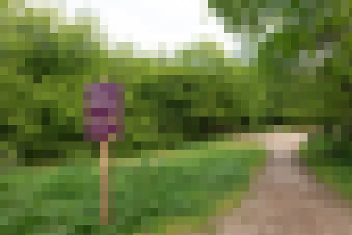Den Ool 24 Hilversum thumbnail 29