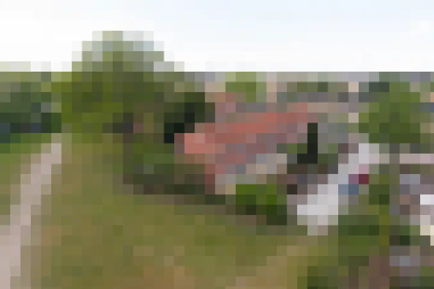 Den Ool 24 Hilversum thumbnail 31