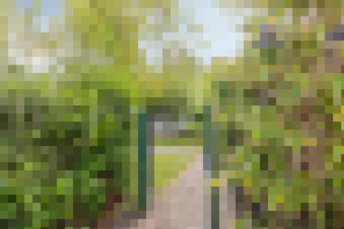 Den Osse 149 Brouwershaven thumbnail 15