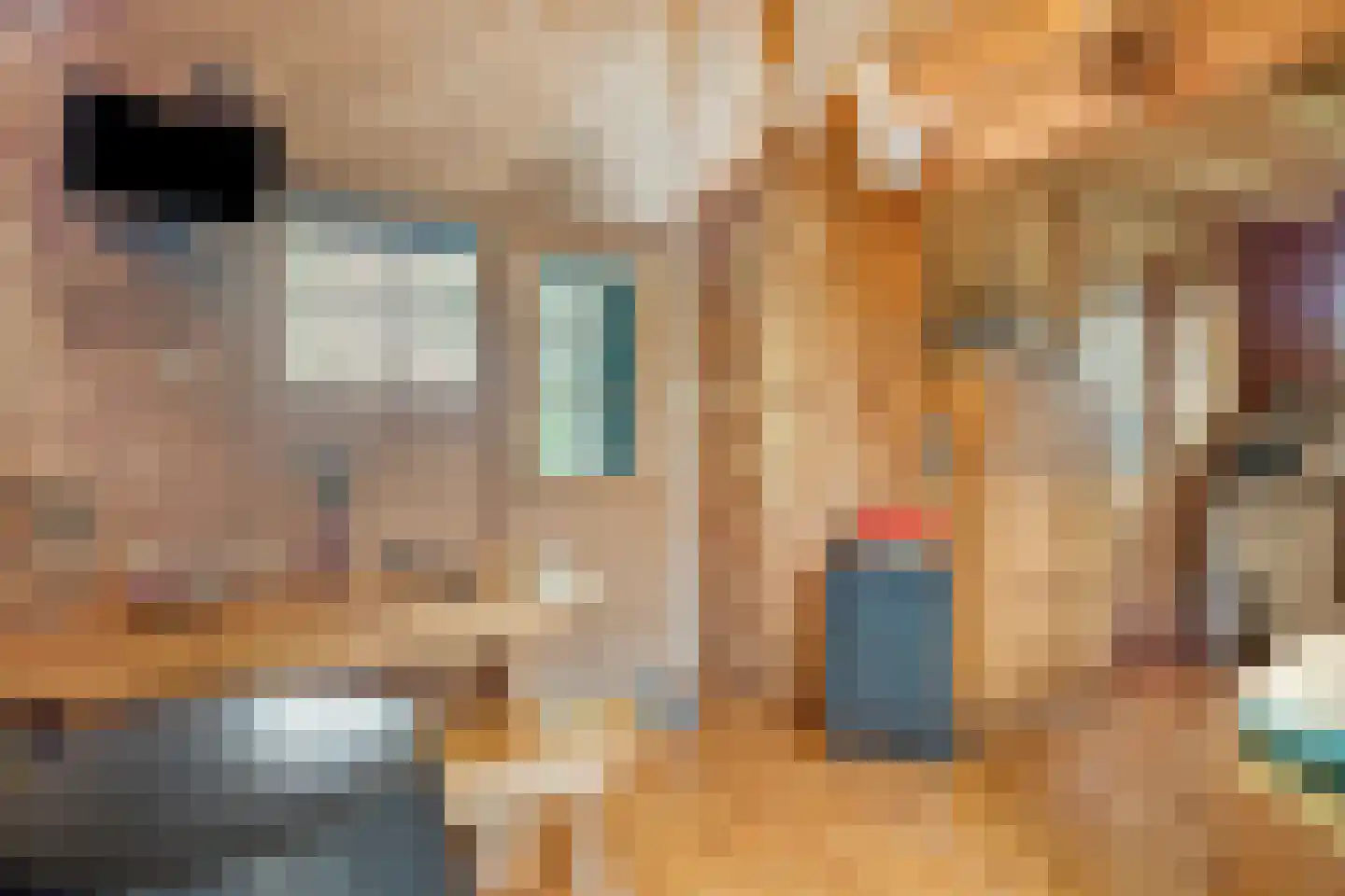 Den Osse 149 Brouwershaven thumbnail 5