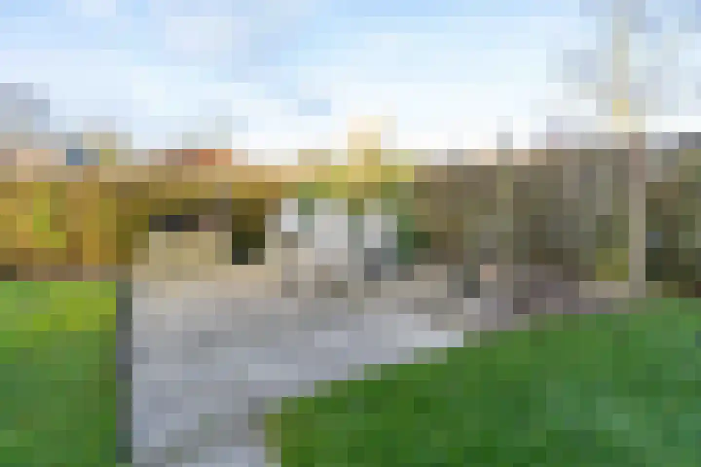 Den Osse 71 Brouwershaven thumbnail 29