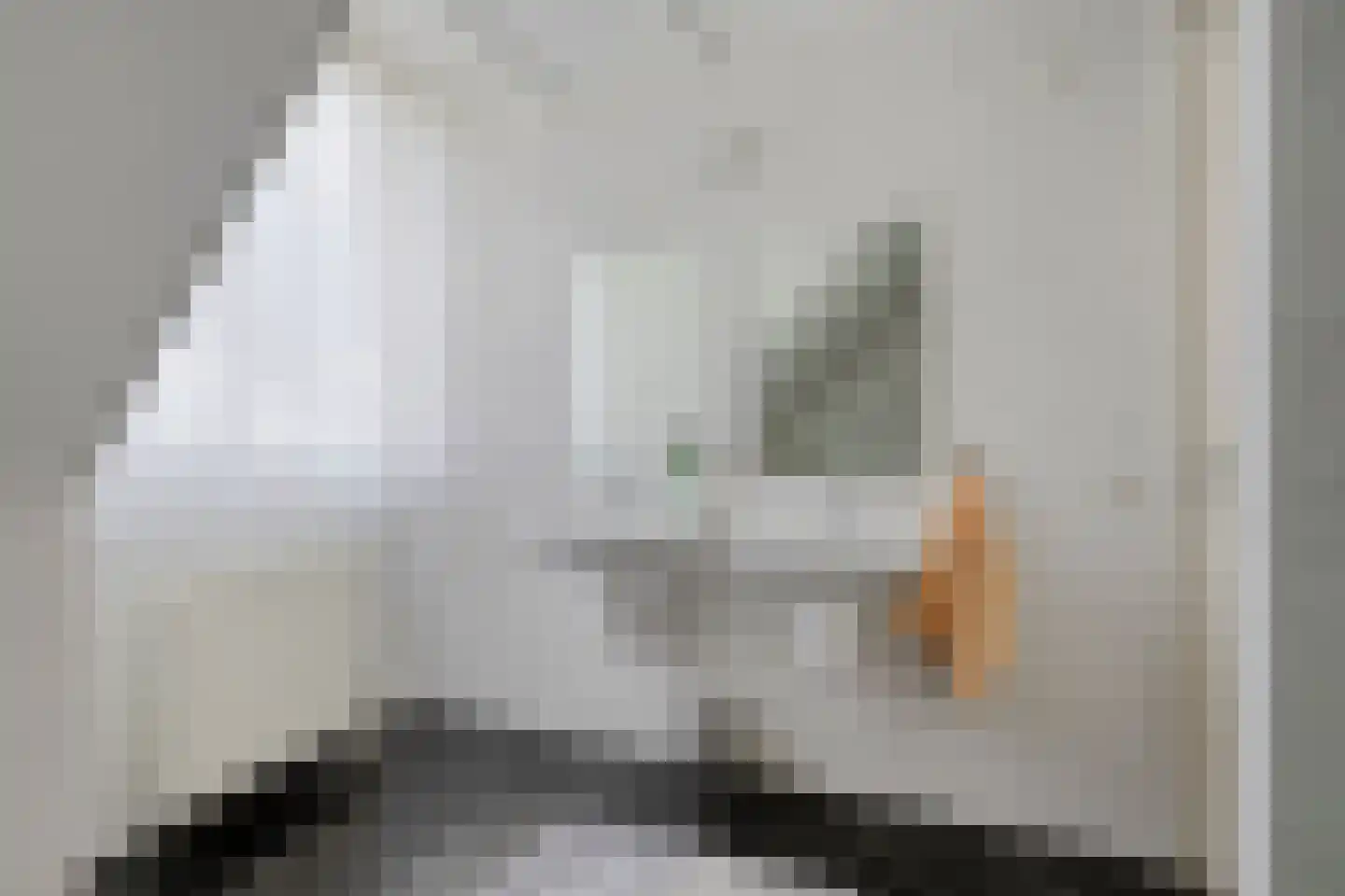 den Ossekamp 3 Helmond thumbnail 35
