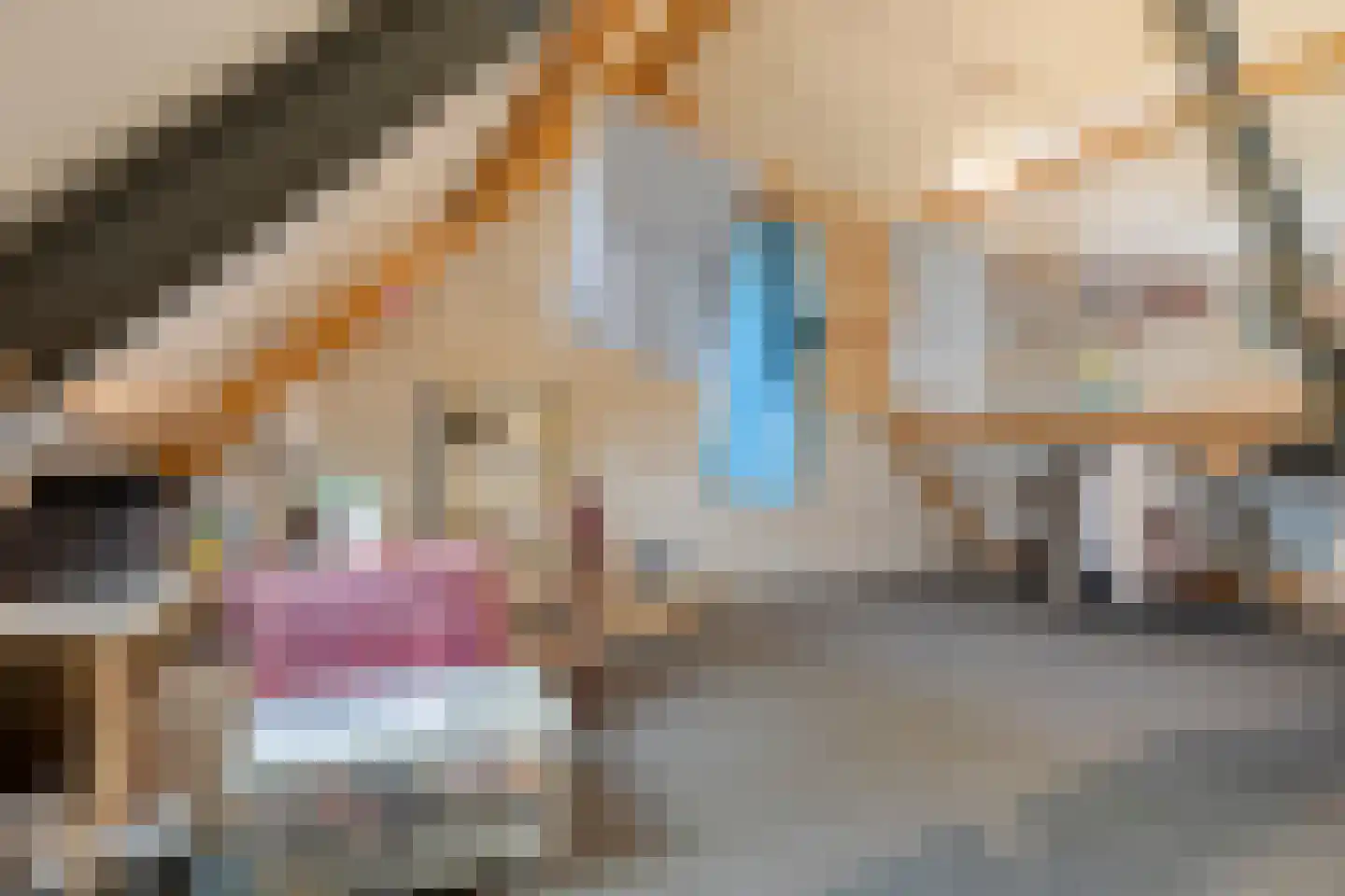 den Ossekamp 3 Helmond thumbnail 38