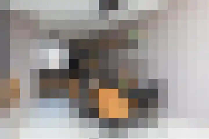 Den Otterleede 18 Barendrecht thumbnail 8