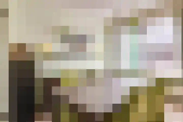 Den Ouden Dries 1 Eindhoven thumbnail 10