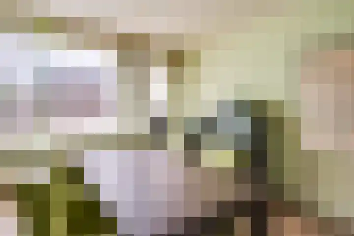 Den Ouden Dries 1 Eindhoven thumbnail 12