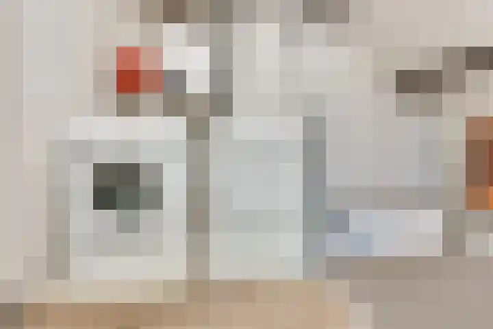 Den Ouden Dries 1 Eindhoven thumbnail 24