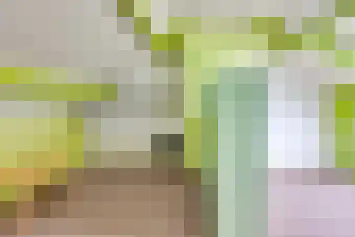 Den Ouden Dries 1 Eindhoven thumbnail 25