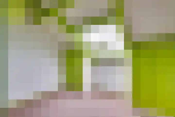 Den Ouden Dries 1 Eindhoven thumbnail 27