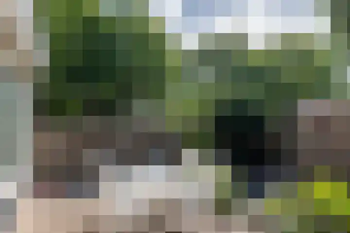 Den Ouden Dries 1 Eindhoven thumbnail 30
