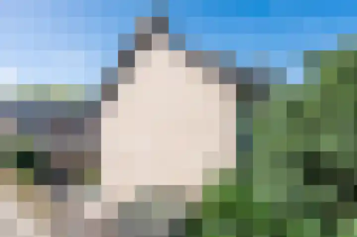 Den Ouden Dries 1 Eindhoven thumbnail 38