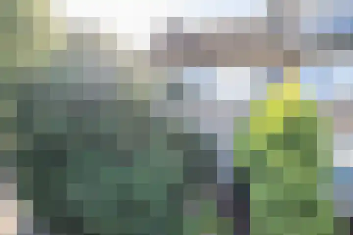 Den Ouden Dries 1 Eindhoven thumbnail 5