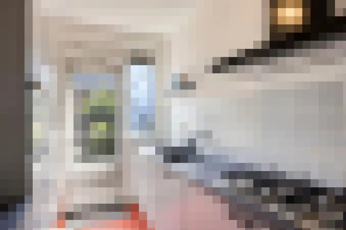 Den Ouden Dries 11 Eindhoven thumbnail 13