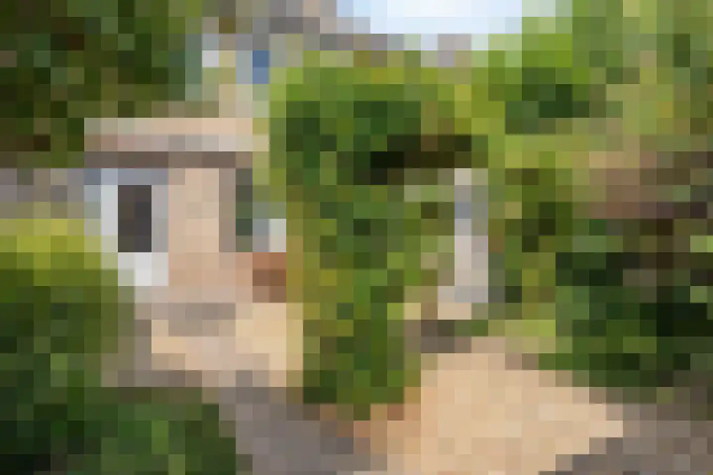 Den Ouden Dries 11 Eindhoven thumbnail 28