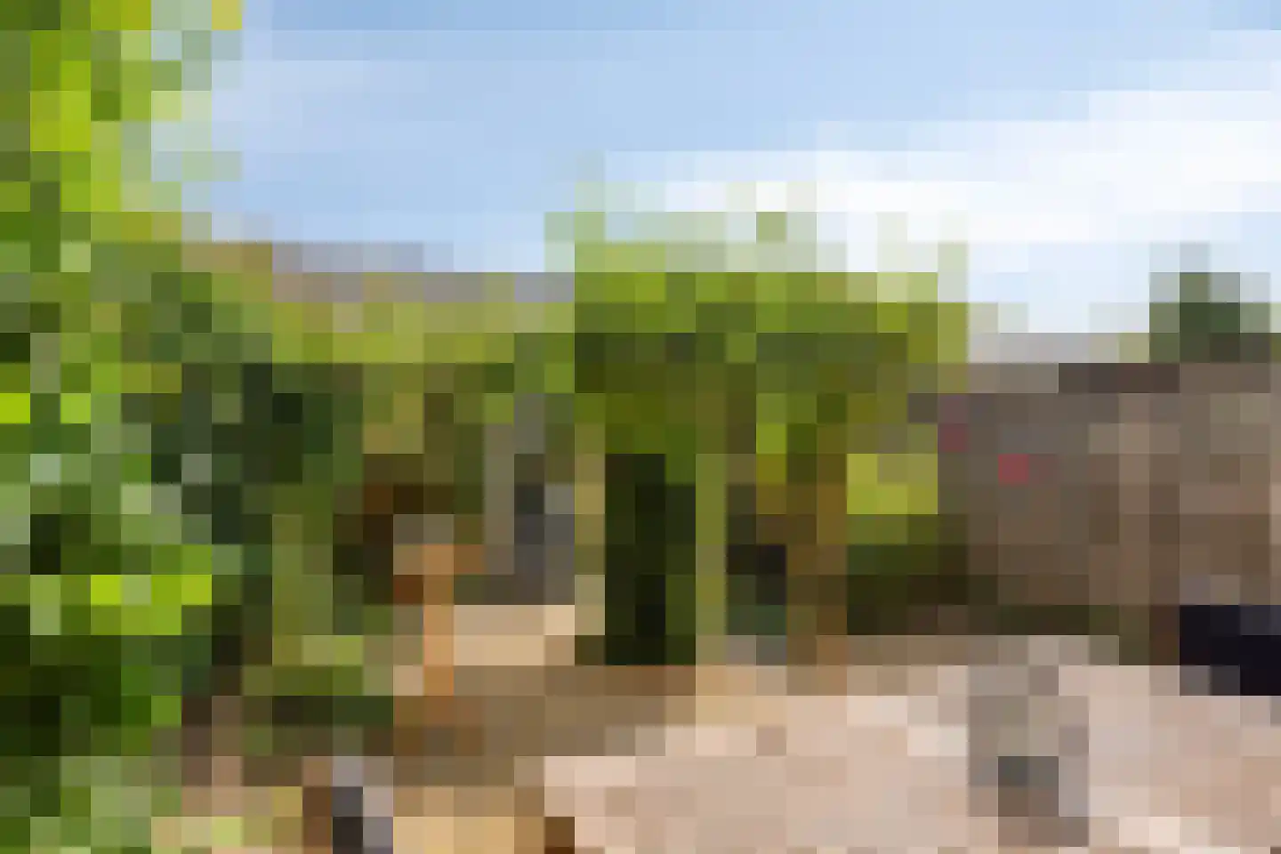 Den Ouden Dries 11 Eindhoven thumbnail 29