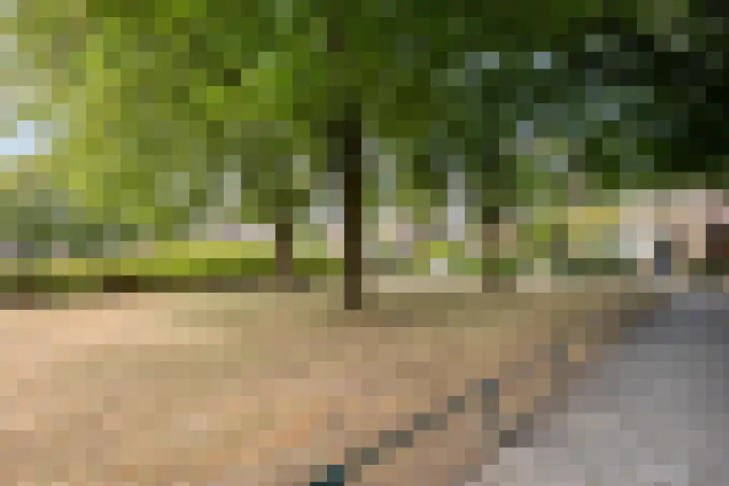 Den Ouden Dries 11 Eindhoven thumbnail 32
