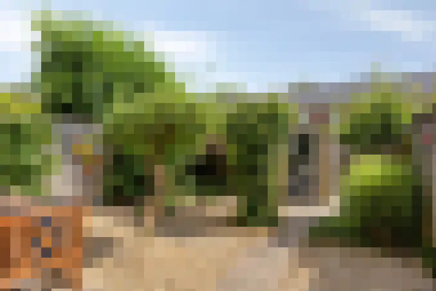 Den Ouden Dries 11 Eindhoven thumbnail 5