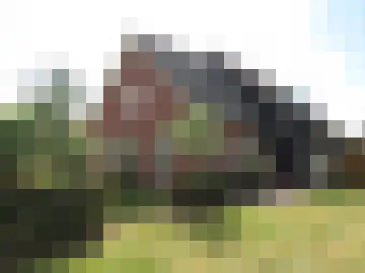 den Oudert 2 g Wijk en Aalburg thumbnail 4