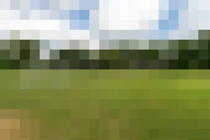 den Oudert 2 g Wijk en Aalburg thumbnail 58