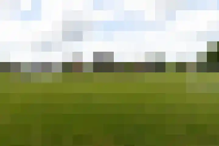 den Oudert 2 g Wijk en Aalburg thumbnail 59