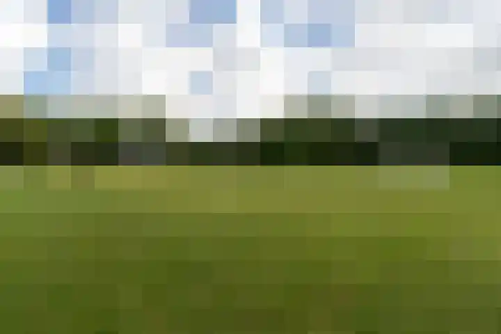 den Oudert 2 g Wijk en Aalburg thumbnail 60