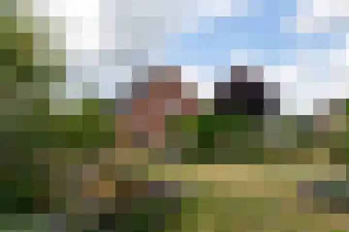 den Oudert 2 g Wijk en Aalburg thumbnail 7