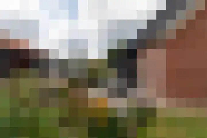 den Oudert 2 g Wijk en Aalburg thumbnail 69