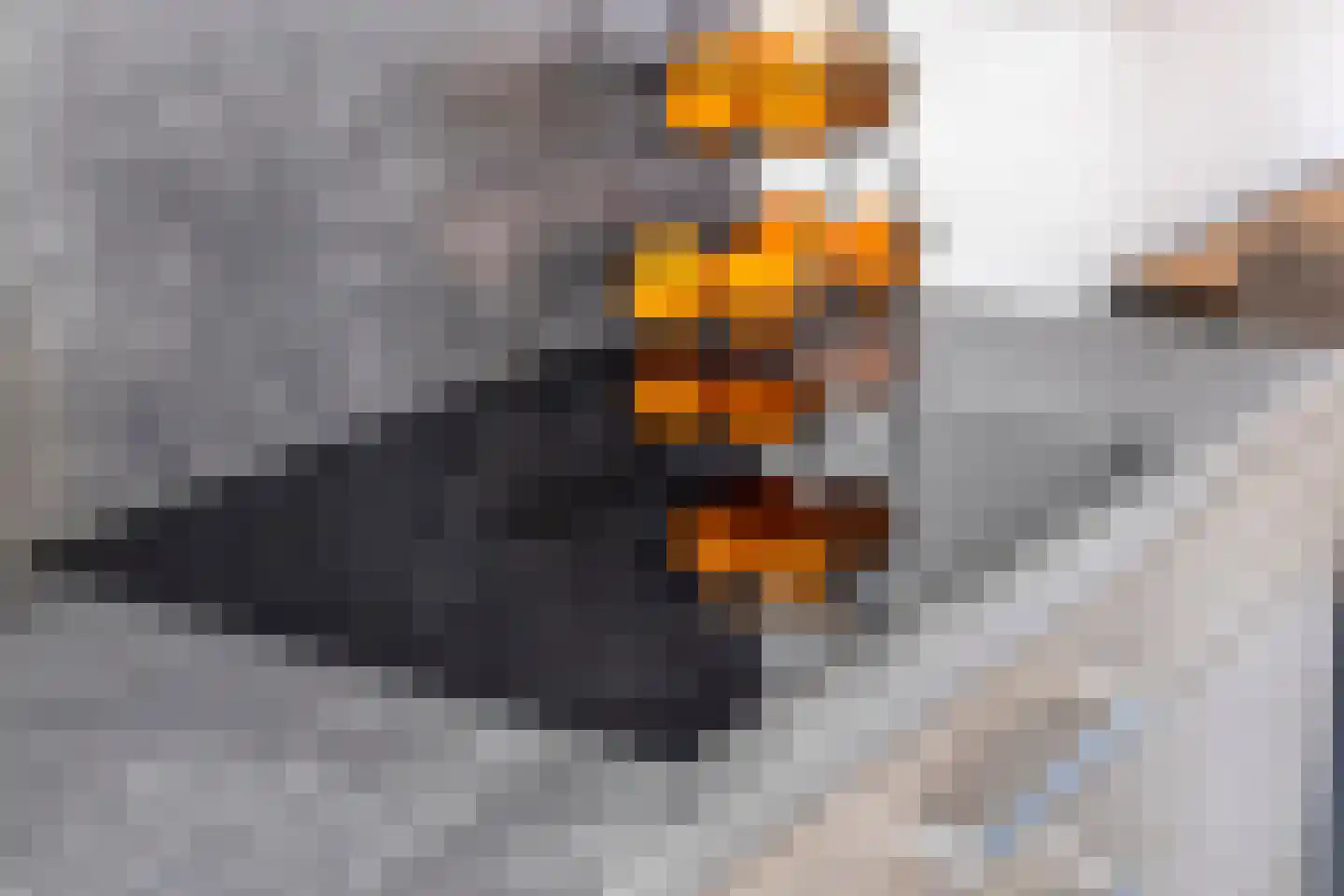 Den Oven 10 A Geffen thumbnail 14