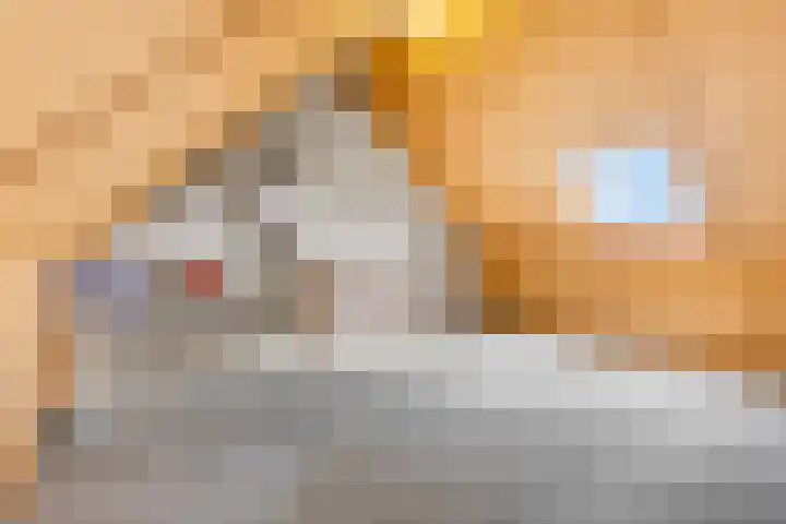 Den Oven 14 Rhenen thumbnail 22